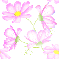 2008-7/20087710472415012.gif