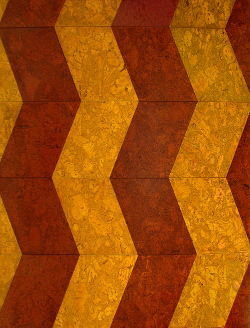 p5.jpg