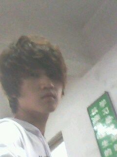 img1009a.jpg