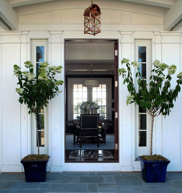 front_doors_design.jpg