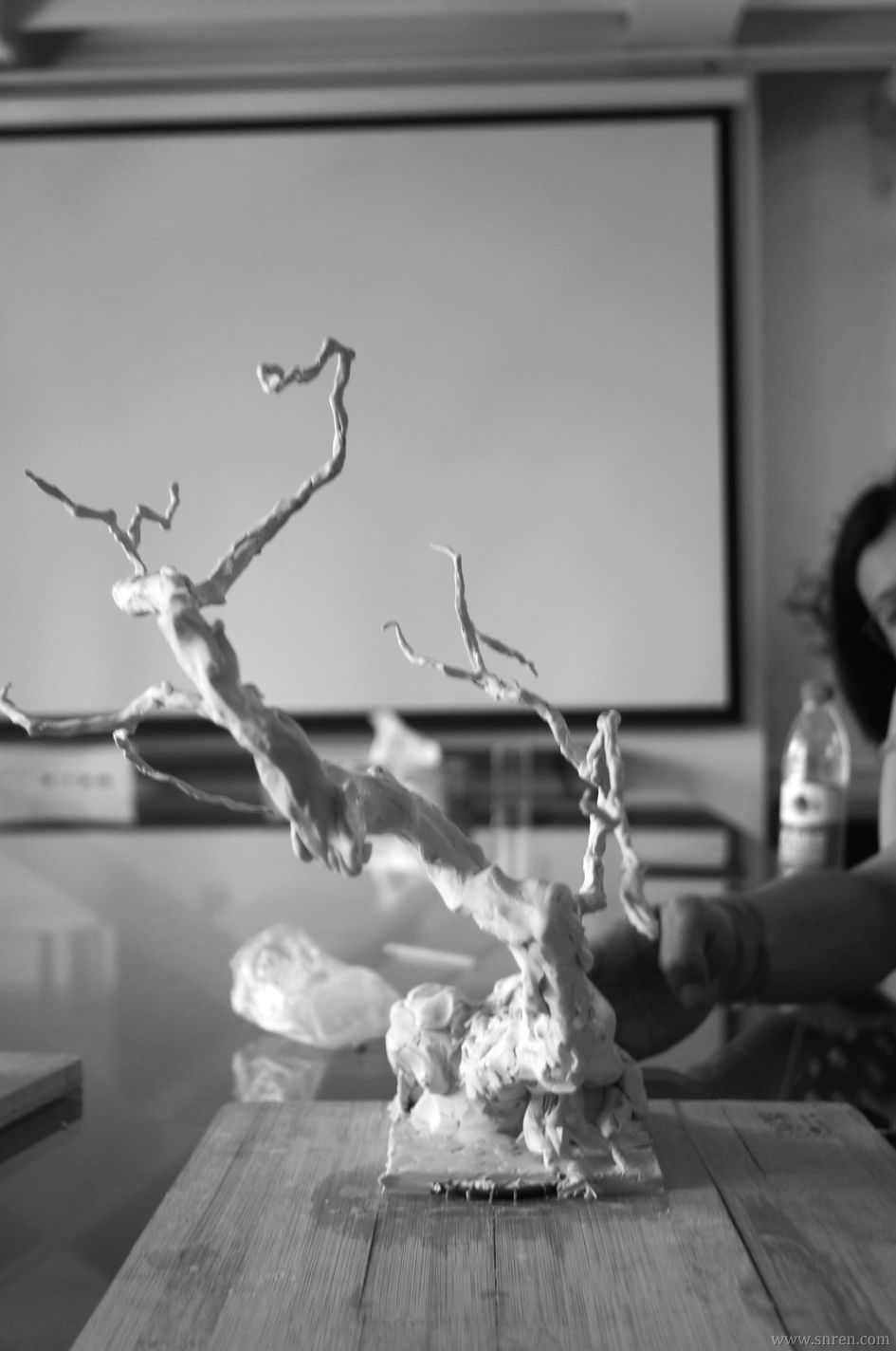 1108-z15.jpg
