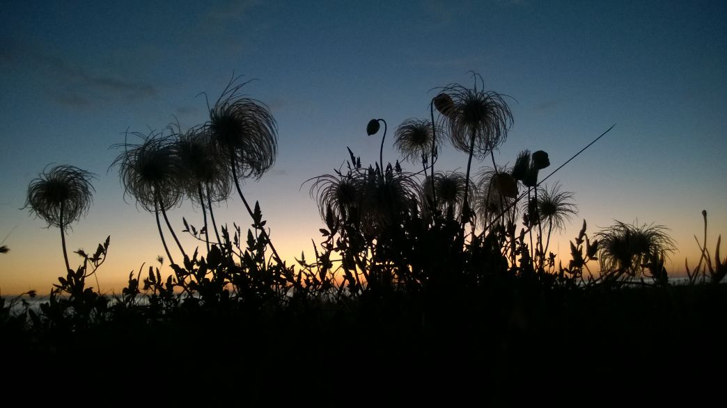 夕阳