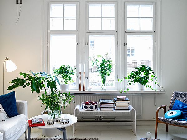 charming-and-clean-style-apartment-window.jpg