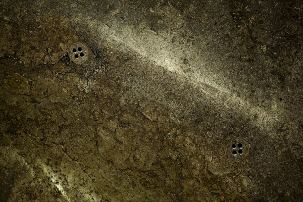 214240c38zki1dd2y15qik.jpg.thumb.jpg