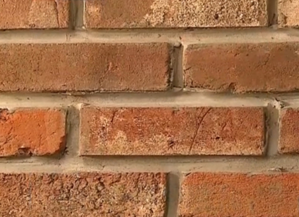 170345djkrrnffkffvvkbf.jpg.thumb.jpg