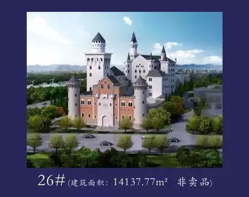 31.webp.jpg