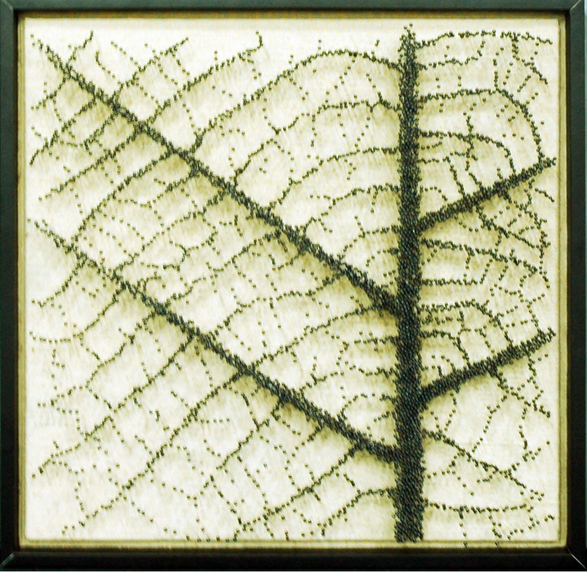 QTD002.jpg