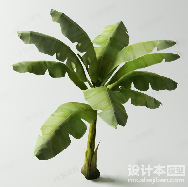 hua2.jpg