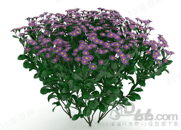 hua3.jpg