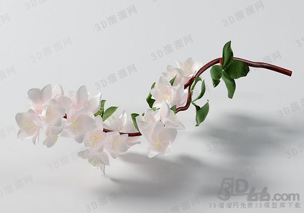 花.jpg