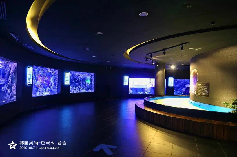 19)81)土耳其起伏的安塔利亚水族馆.jpg
