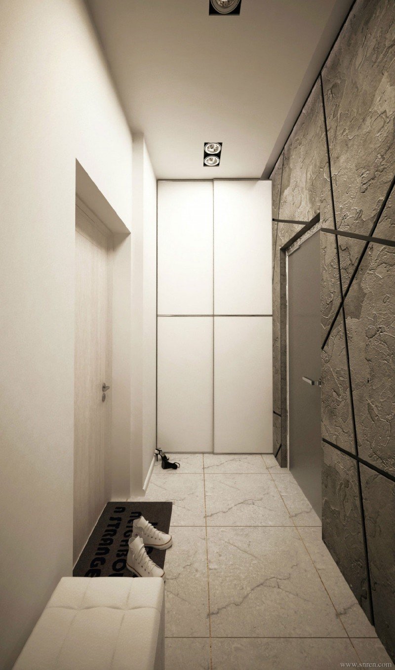 1015-z01_snr.jpg