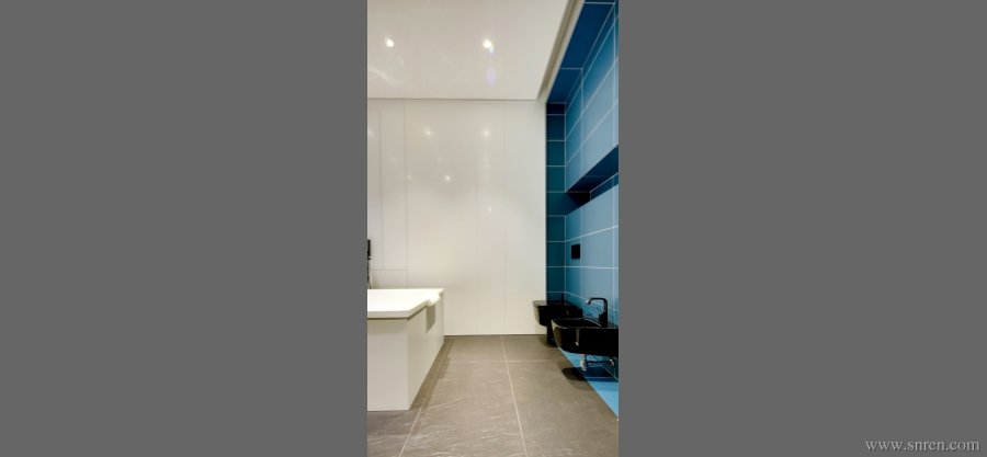 1103-x20_snr.jpg
