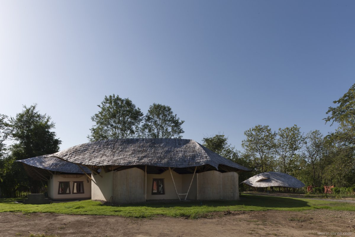 Trika_003_snr.jpg