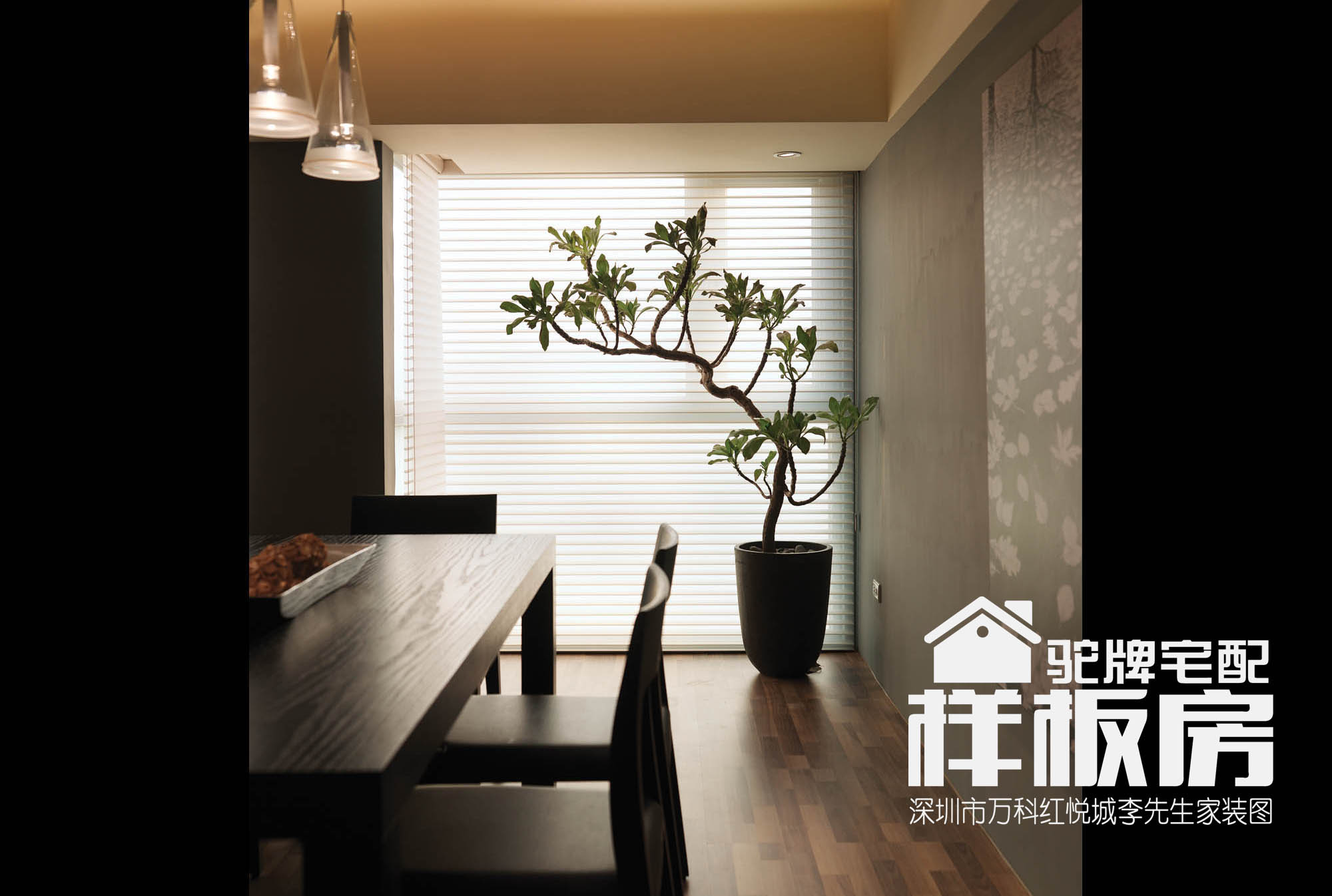 深圳驼牌宅配（国际）家居万科红悦城样板房