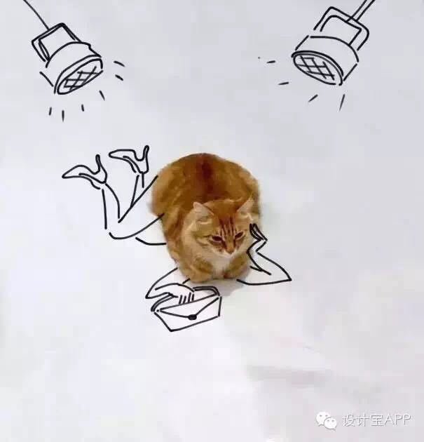 751669218394648555.jpg