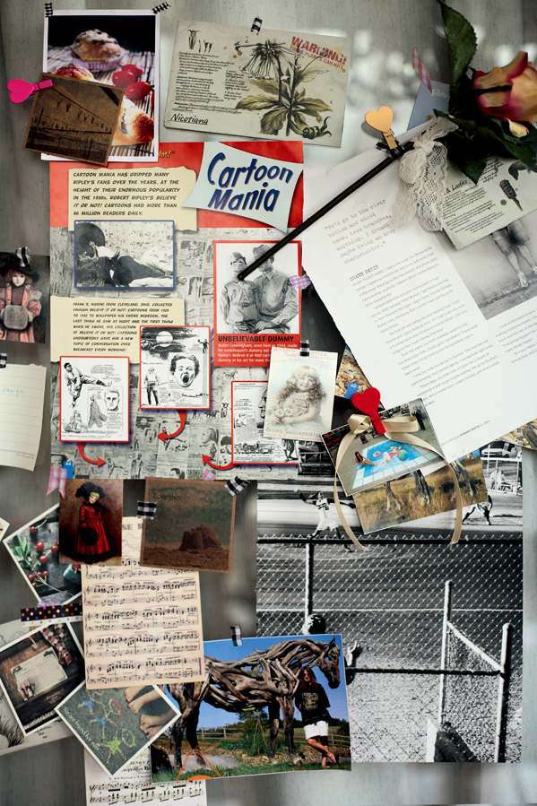 E11 (9).jpg