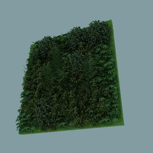 绿色植物墙.jpg