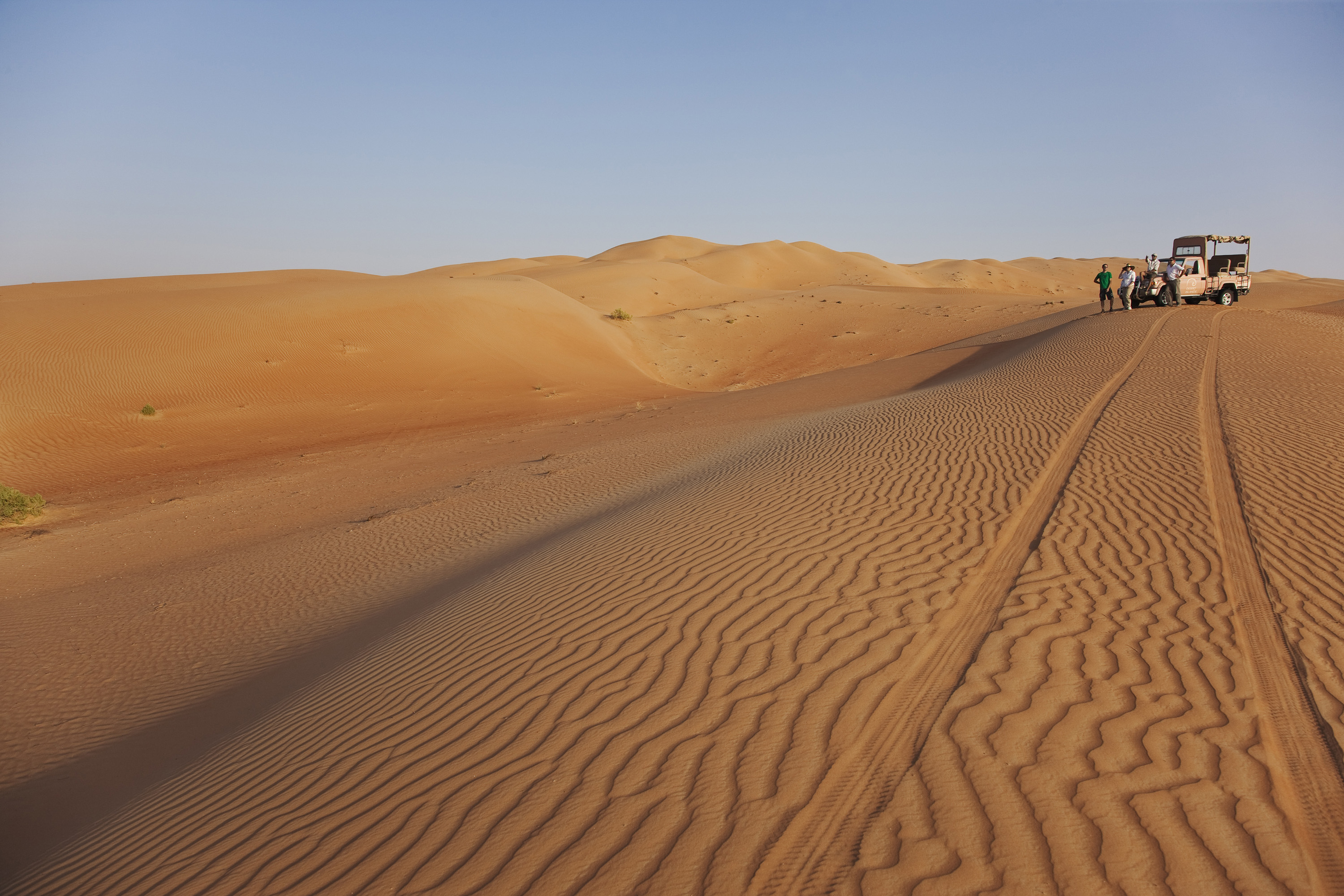 Desert escapades.jpg