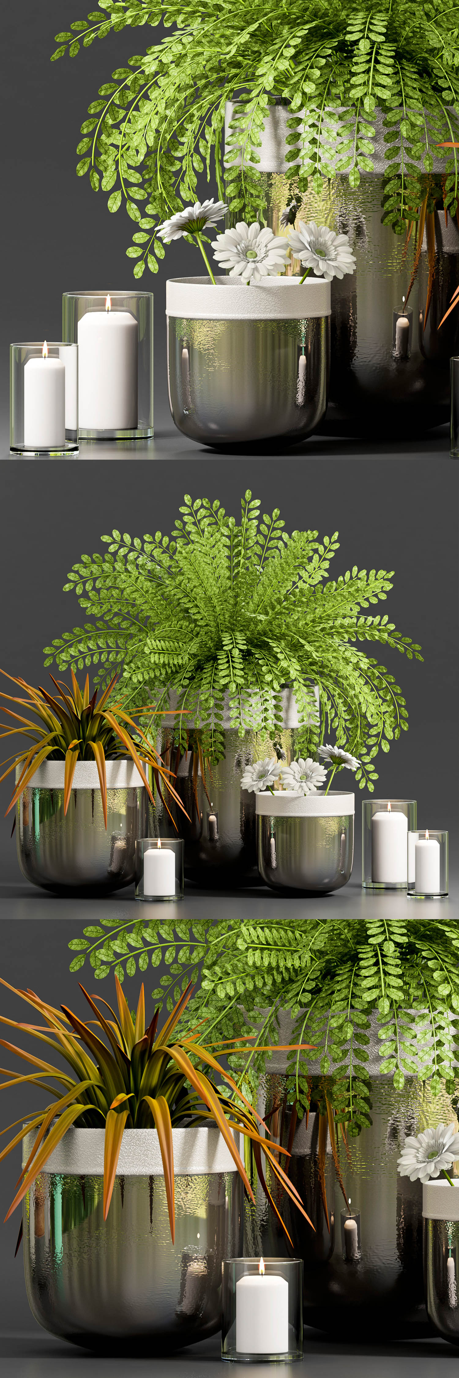 绿色植物.jpg