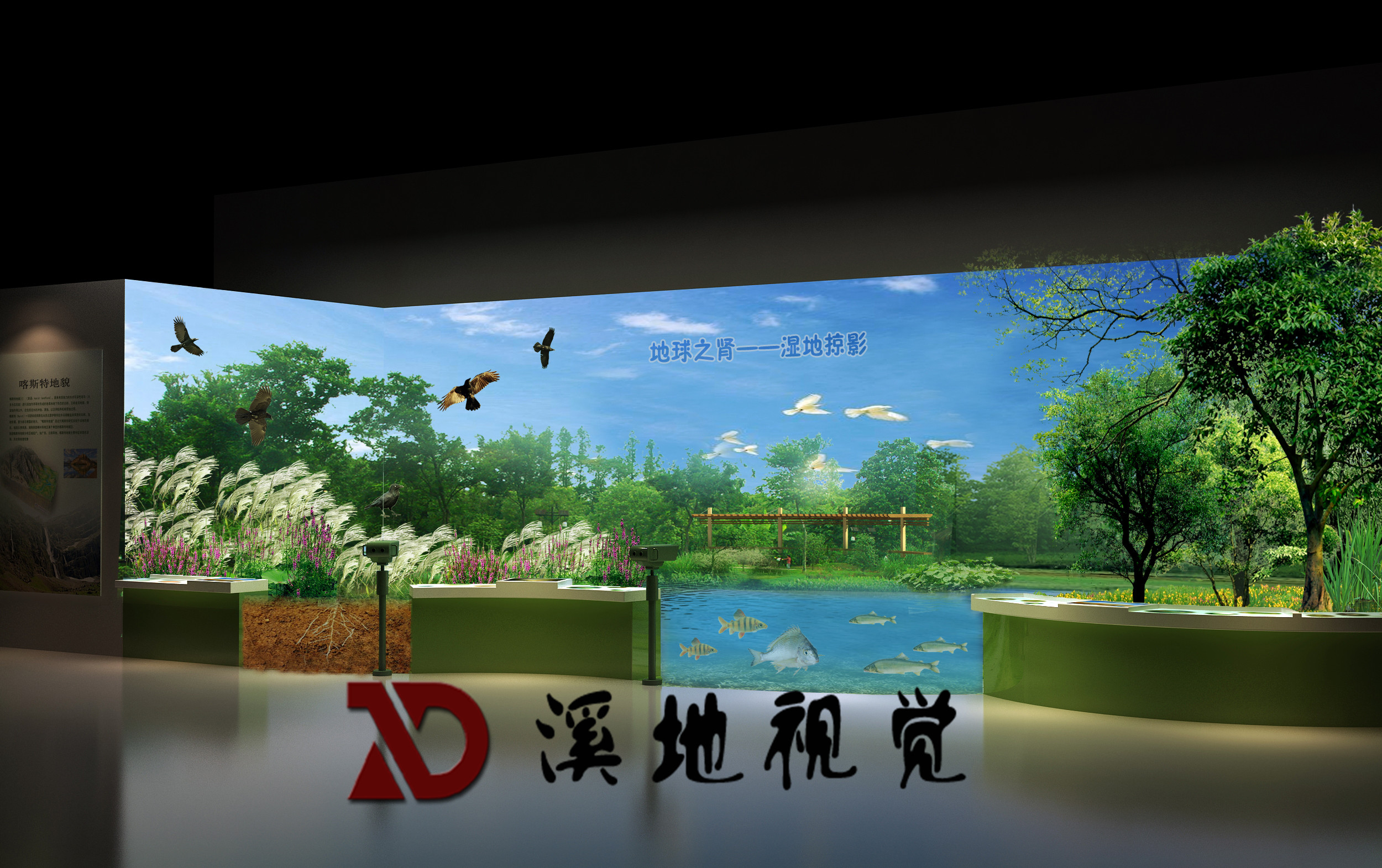 DQ-SM-10~13地球之肾——湿地掠影.jpg