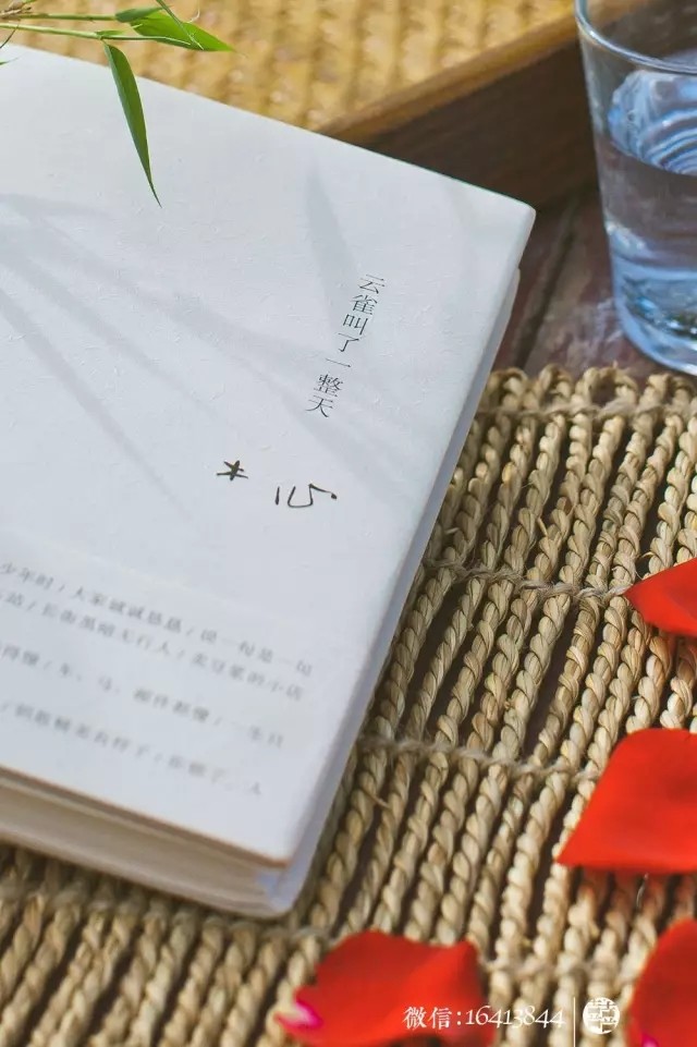 171203-y13_snr.jpg