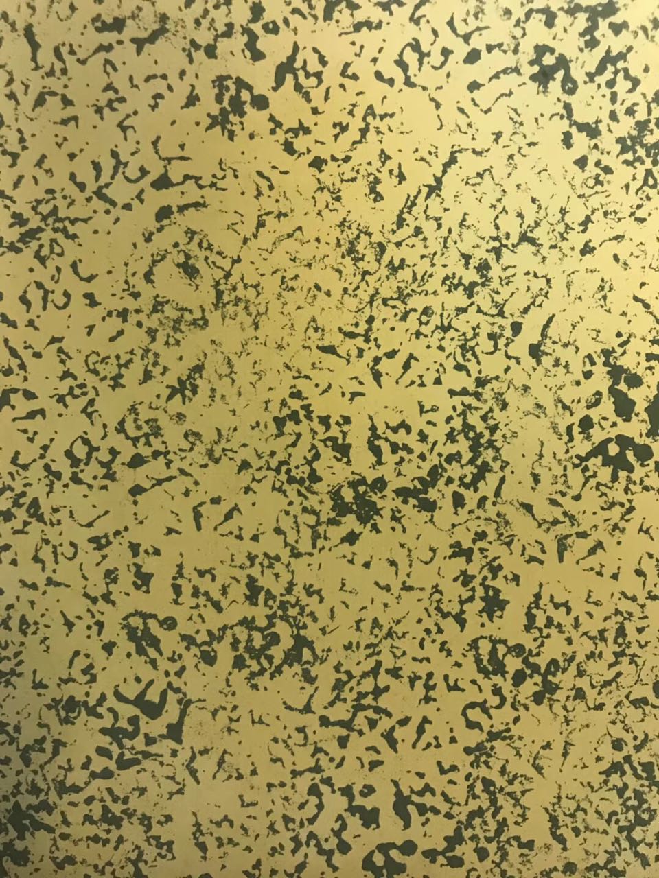 824089785829392611.jpg
