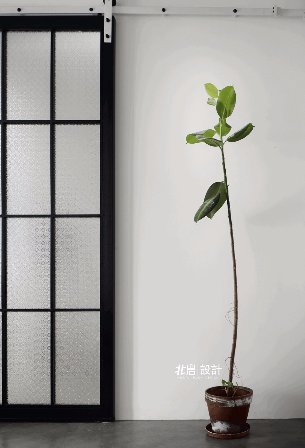 180307-x11_snr.jpg