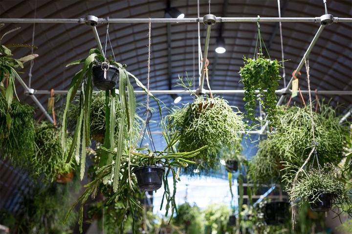 Forest-store-by-and-then-studio-London-UK-09.jpg