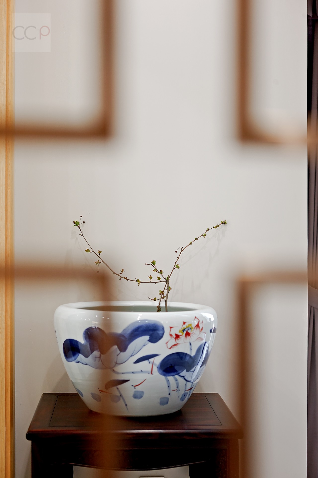 180906-y12_snr.jpg