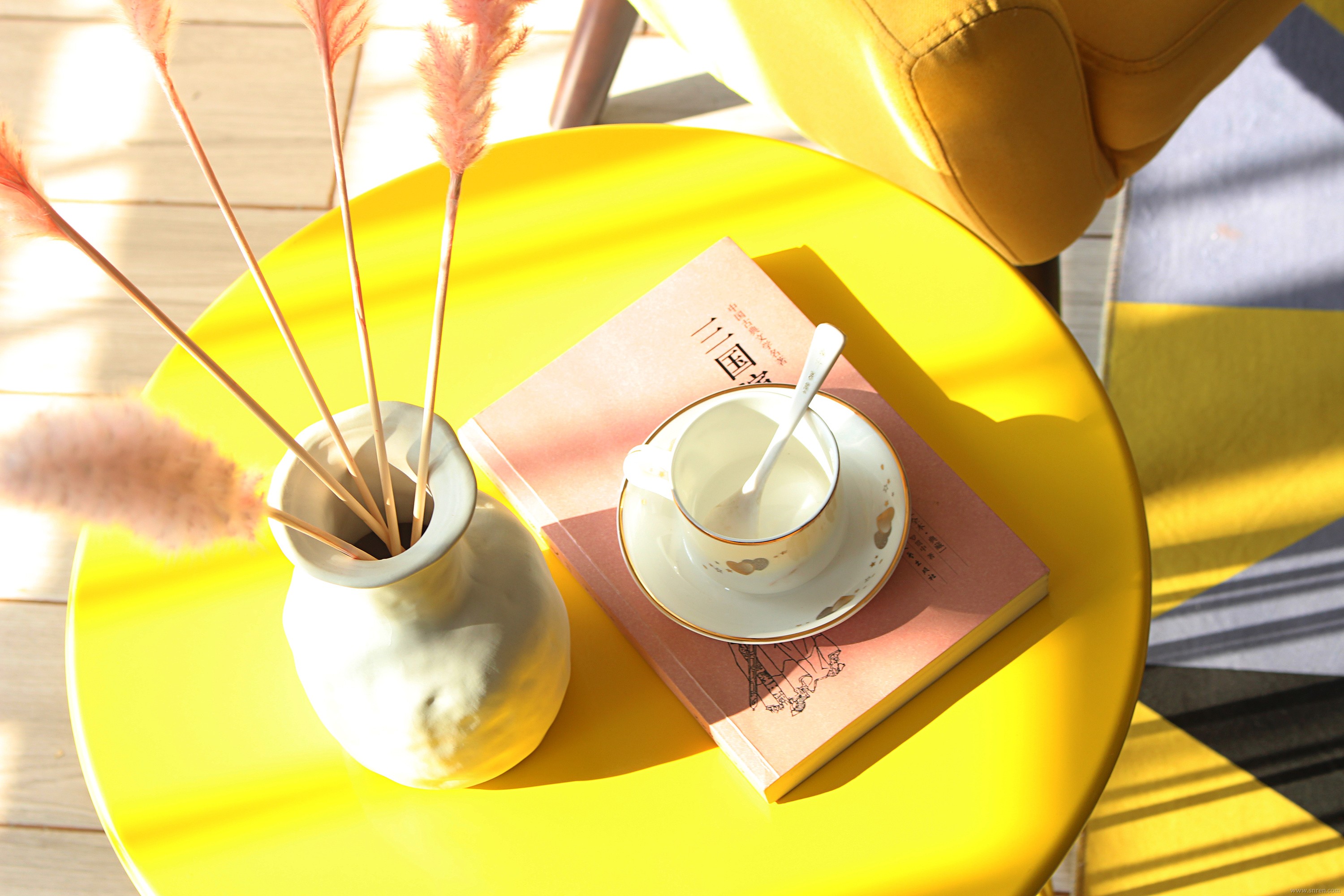 181107-y19_snr.jpg