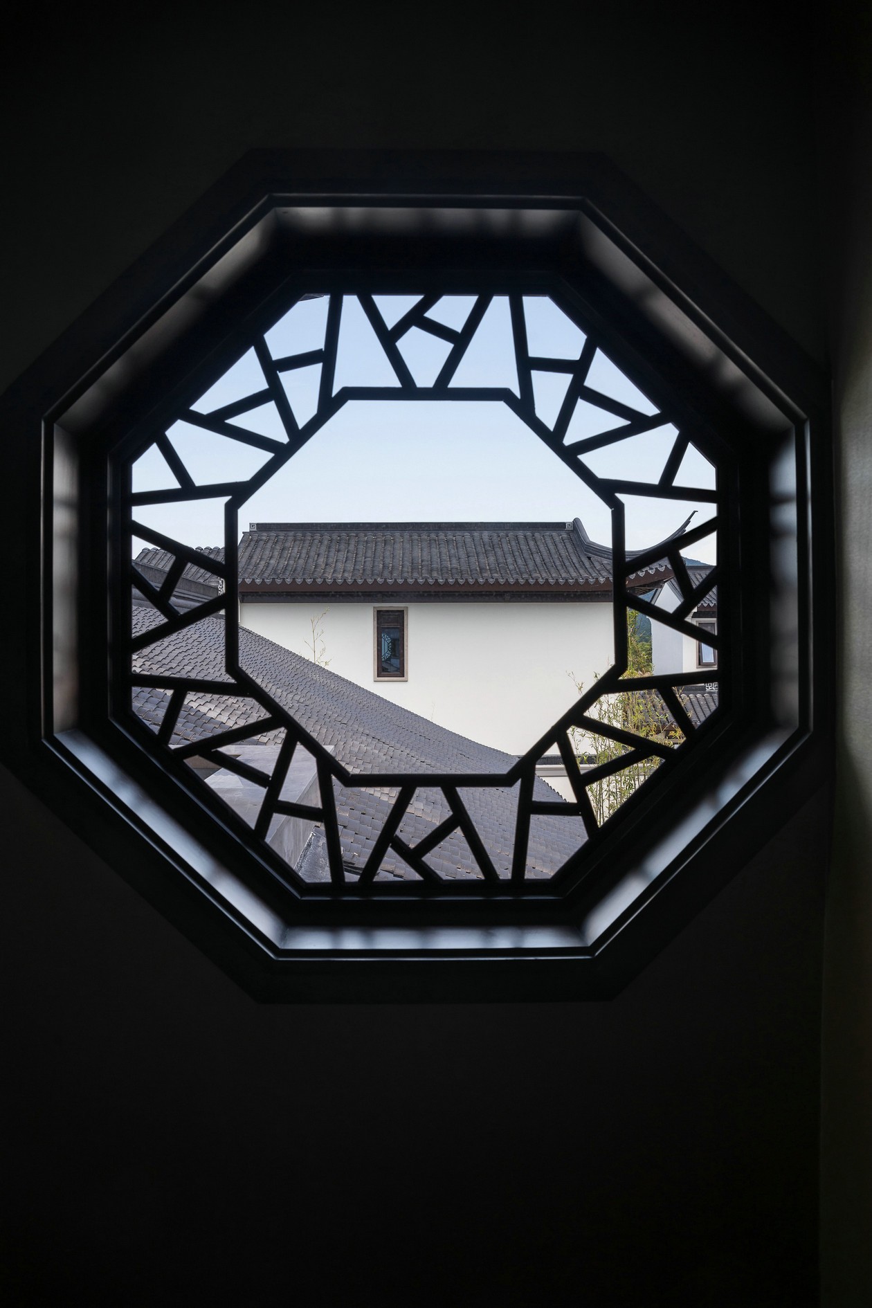 181114-x20_snr.jpg