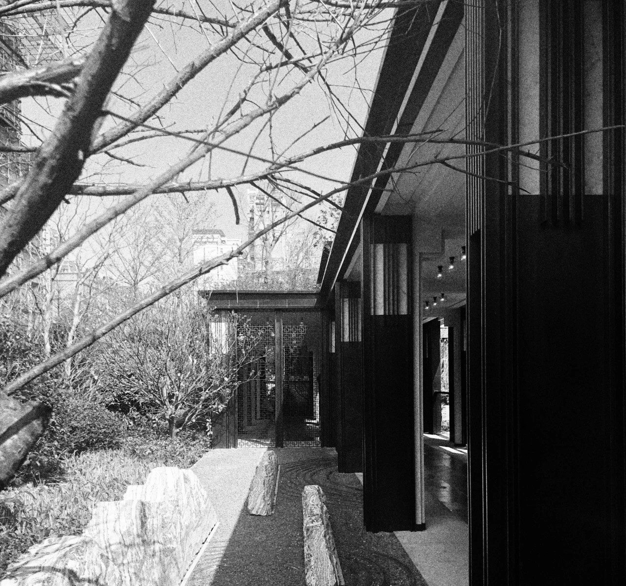 181221-x02_snr.jpg