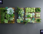 多肉植物画植物墙 max2012 带贴图