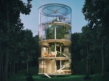 围绕一棵树建造的玻璃豪宅，你想住进去吗？