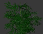 竹子盆栽模型