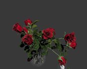 漂亮的玫瑰花束模型 max2010 内含材质贴图