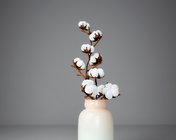 超写实棉花插花饰品花瓶 max2012 带贴图