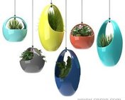 现代悬挂式盆栽植物装饰品 max2014