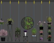现代中式植物花架、竹子、多肉植物花架 max2012 带贴图