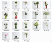 25套桌面花卉模型下载