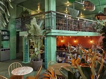《街角雨林，都市绿野》 阿姆斯特丹酒吧设计