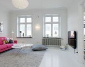 瑞典哥德堡斯堪的纳维亚风格的公寓
