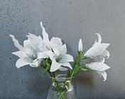 玻璃瓶花模型 max2012 带贴图