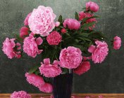 一盆牡丹花的模型（Peonies） max2012 带贴图