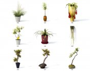精美装饰植物盆栽模型集 带贴图