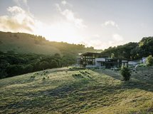 位于美国的Butterfly House