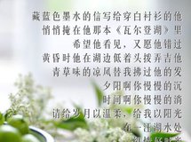 《橄榄树之恋》林里·天怡样板间B户型【成象设计】