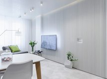 白色 | WHITE