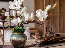 何必非要寻找远方的田野,品川就有阳光、合院和落叶